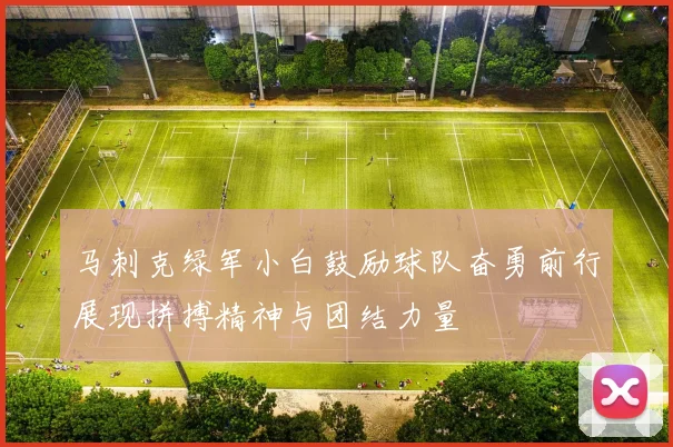马刺克绿军小白鼓励球队奋勇前行展现拼搏精神与团结力量