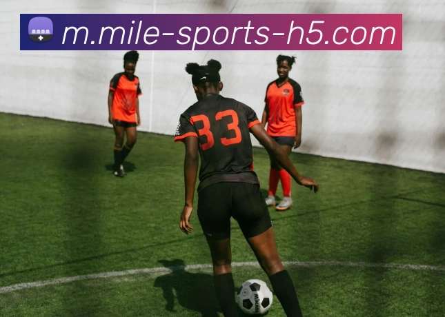 米乐体育平台生态图