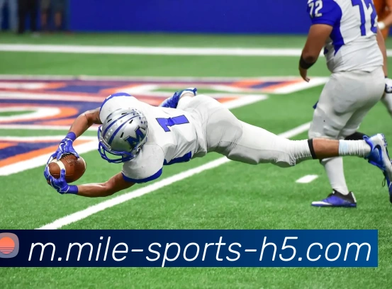 米乐体育APP 封面图